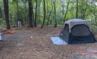 beth's photo at Trap Pond State Park Campground near Millsboro, DE