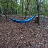 Review photo of Trap Pond State Park Campground by beth , October 19, 2021