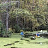 Review photo of Trap Pond State Park Campground by beth , October 19, 2021