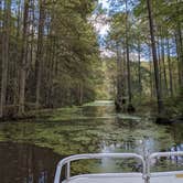 Review photo of Trap Pond State Park Campground by beth , October 19, 2021