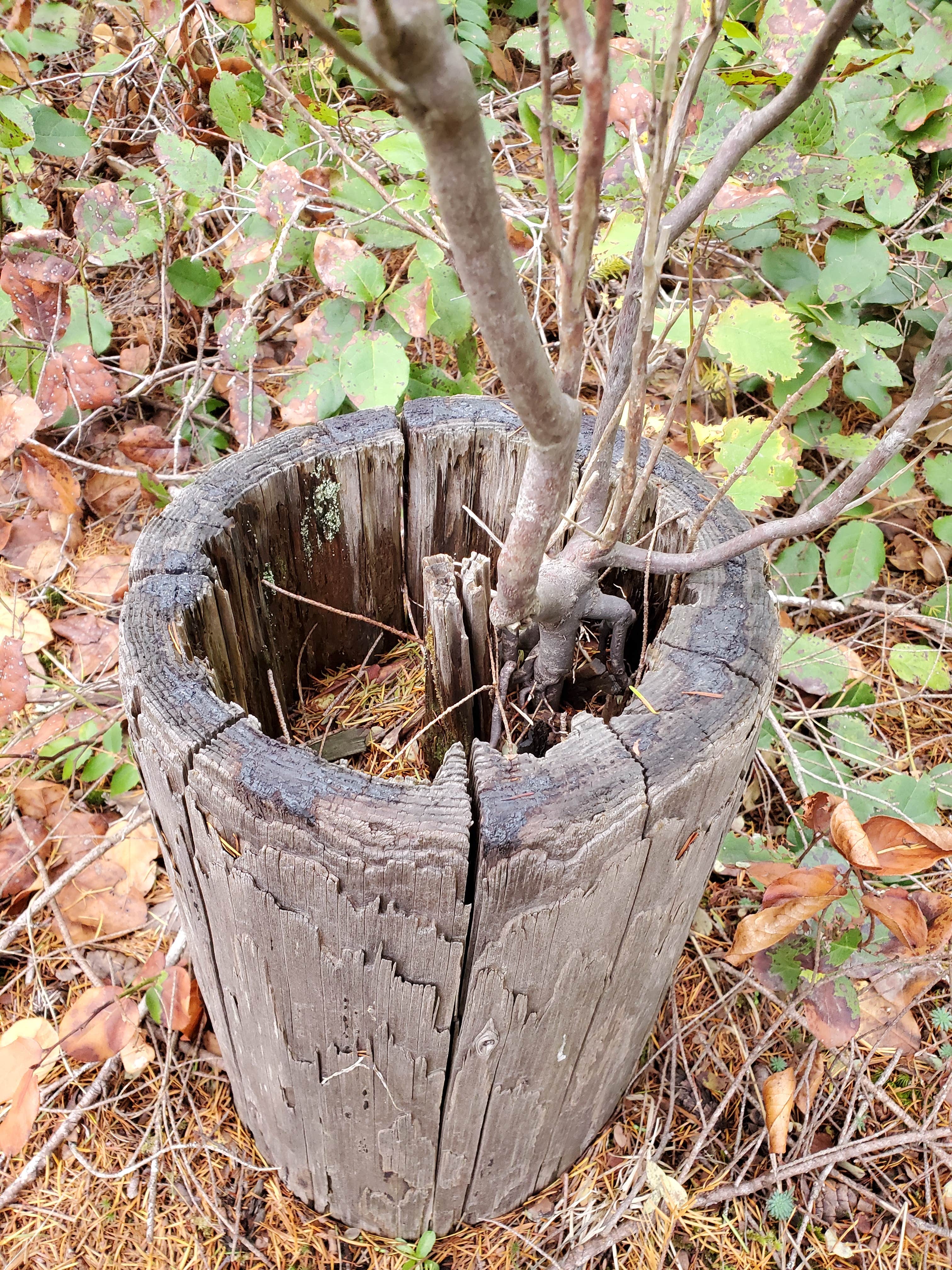 Camper-submitted photo at Quilcene Community Campground near Poulsbo, WA