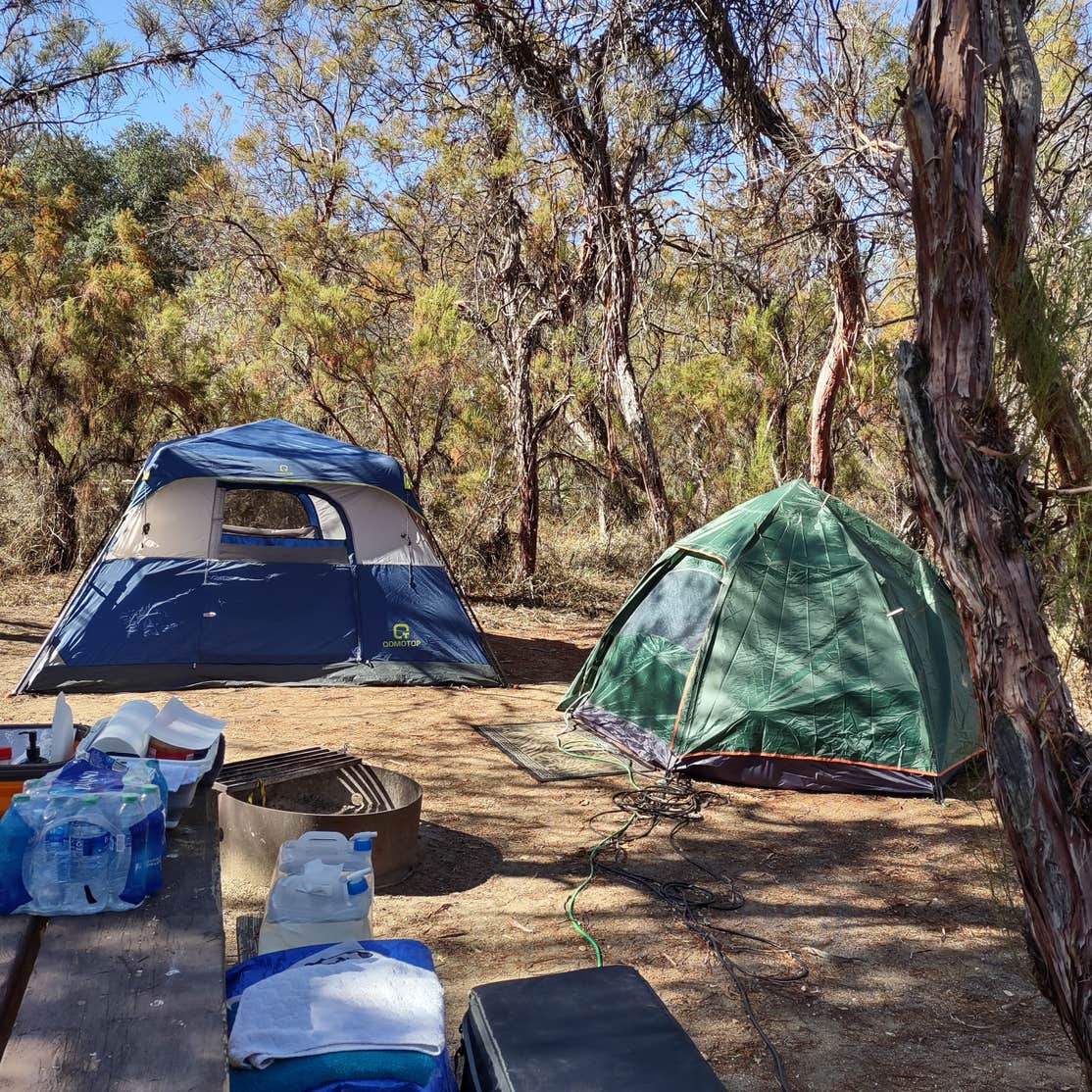 Oak Grove Campground Camping The Dyrt