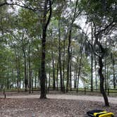 Review photo of Santee State Park--Lakeshore Campground by Jonah J., October 10, 2021