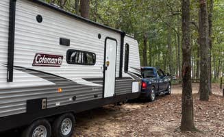 Jonah J.'s photo of rv camping at Cypress View Campground — Santee State Park near Horatio, SC