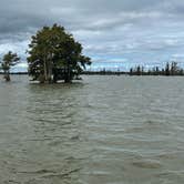 Review photo of Santee State Park--Lakeshore Campground by Jonah J., October 10, 2021