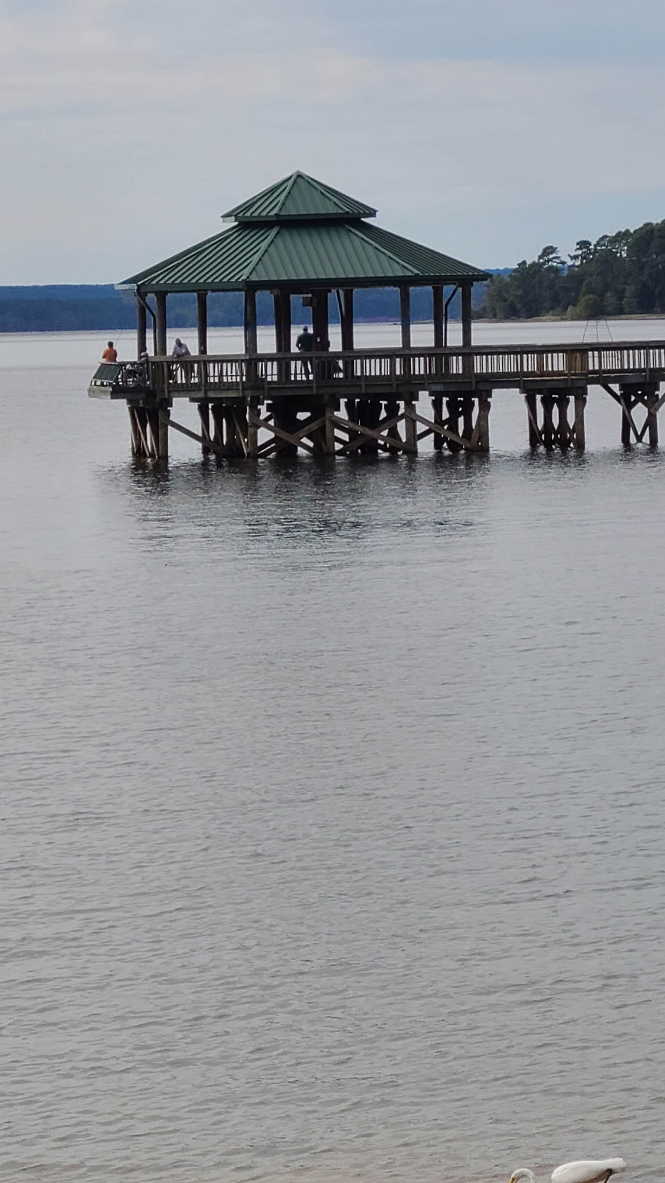 Camper-submitted photo at Cypress Bend Park-Toledo Bend Lake Sabine River Auth near Mansfield, LA