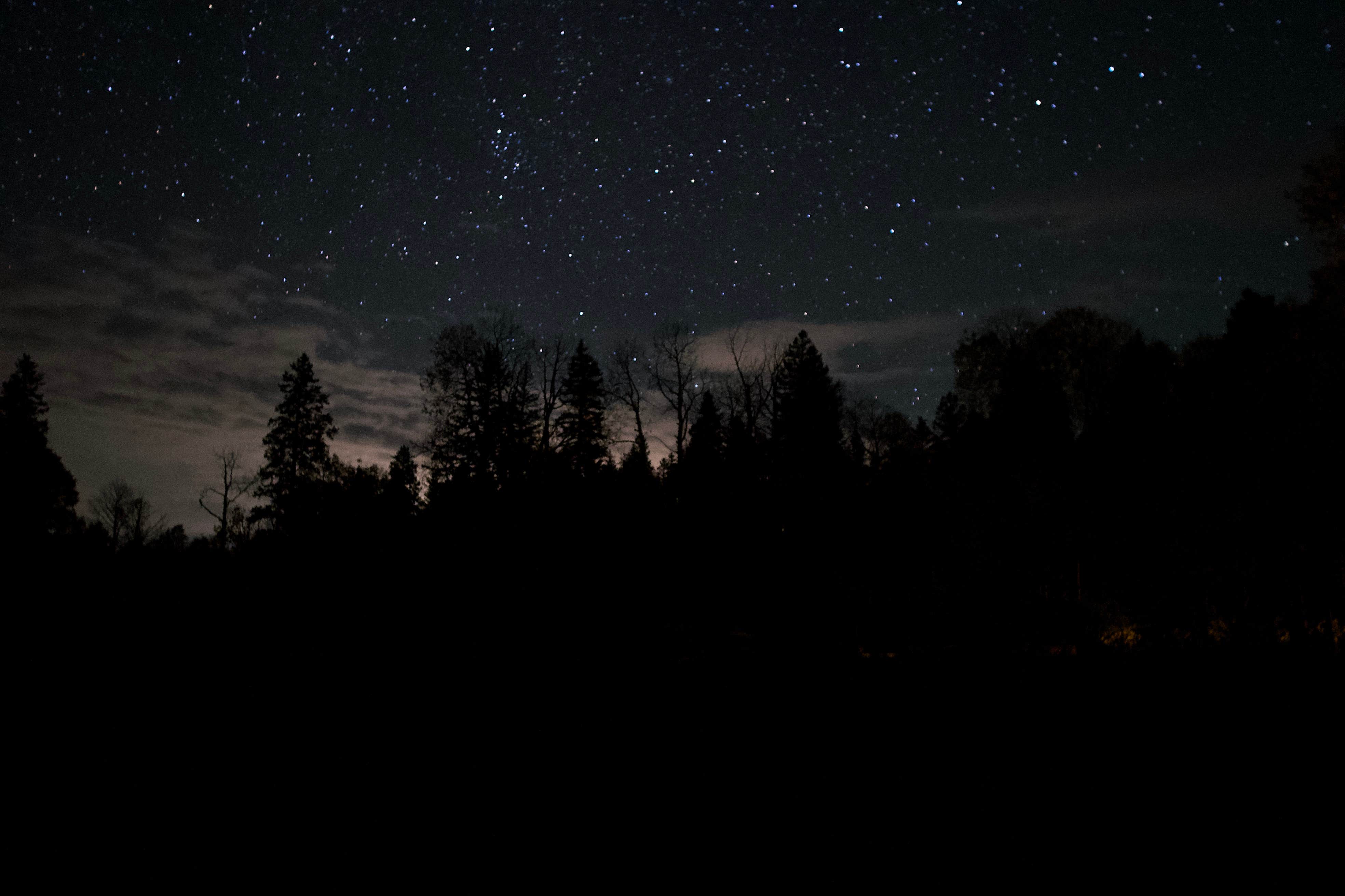 Camper-submitted photo at Silesca Cabin near Norwood, CO