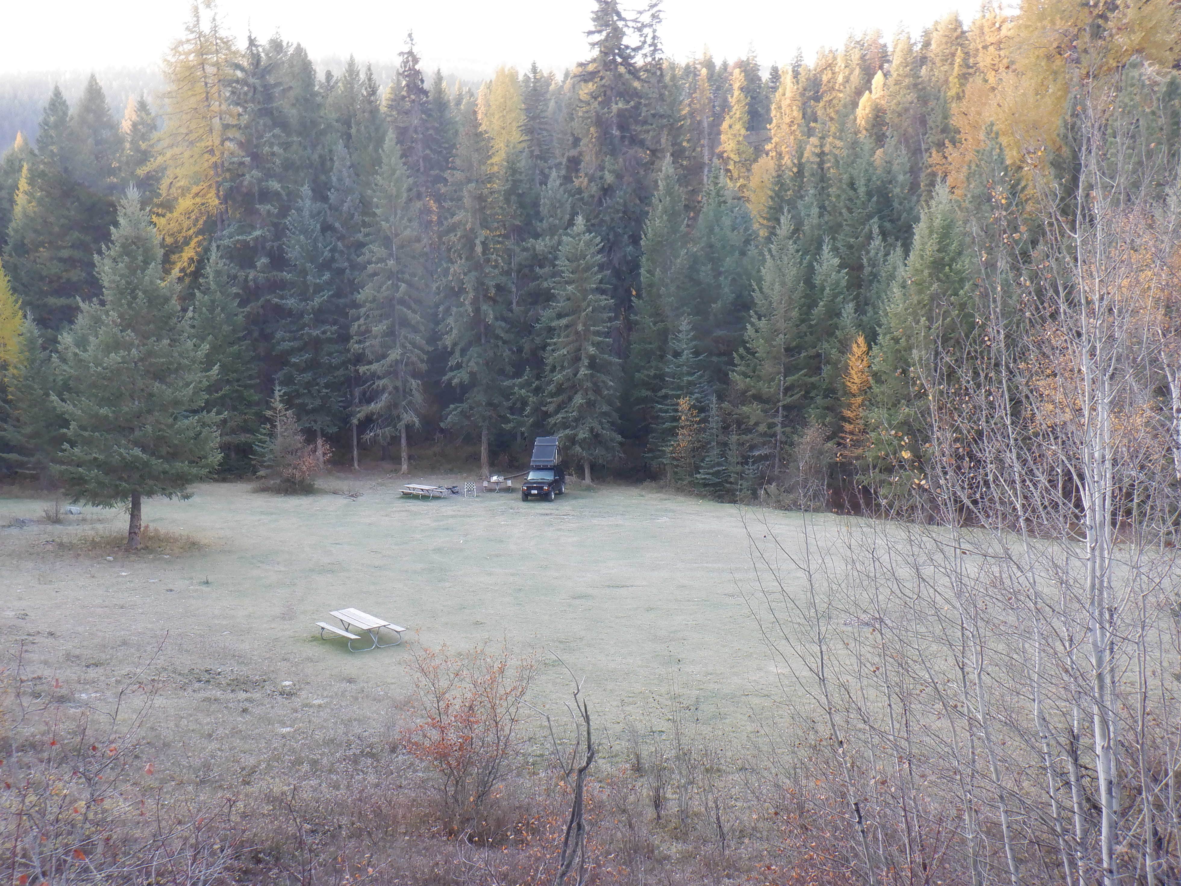 Camper submitted image from Kootenai National Forest Camp 32 - 1