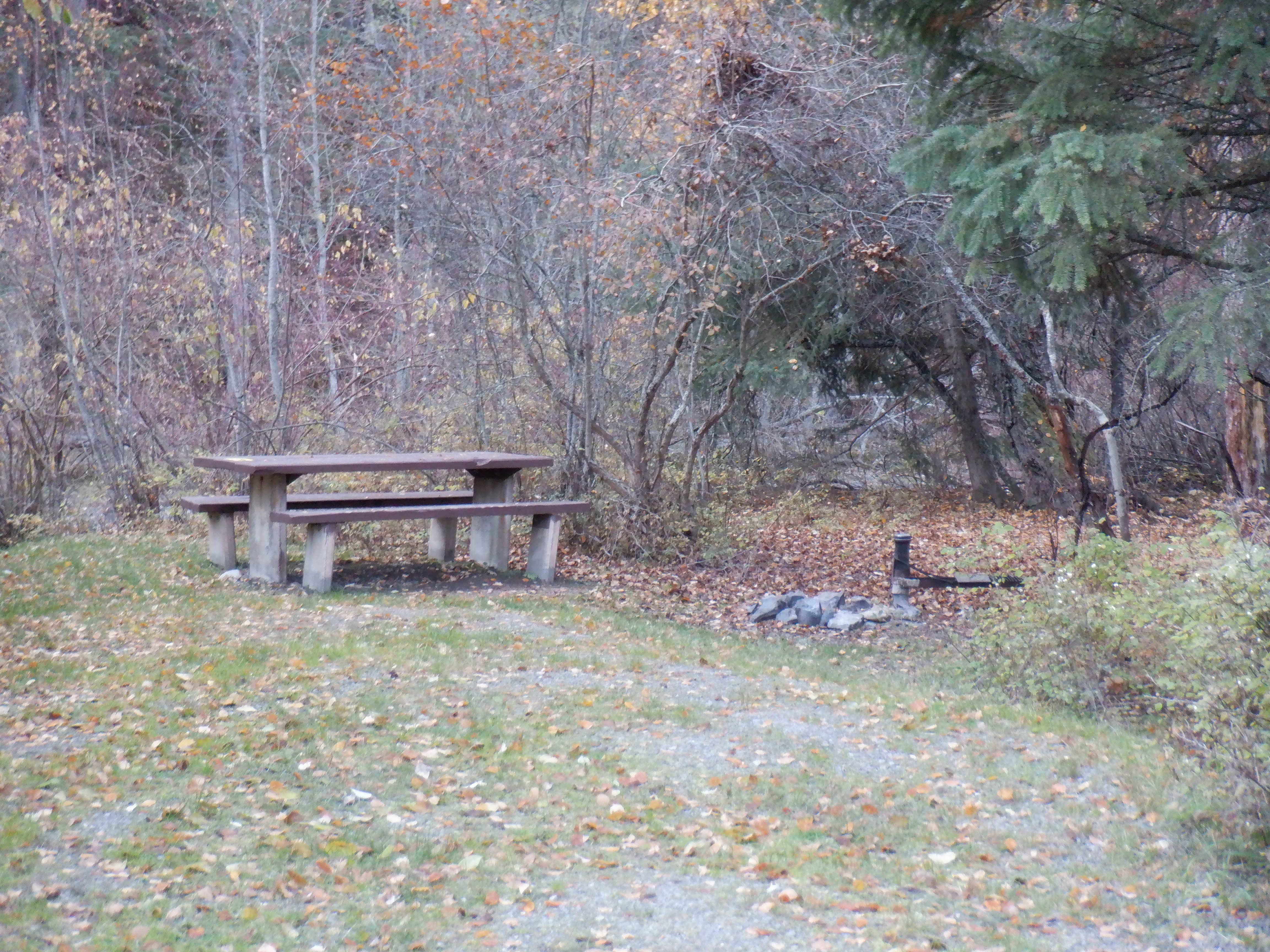 Camper submitted image from Kootenai National Forest Camp 32 - 2