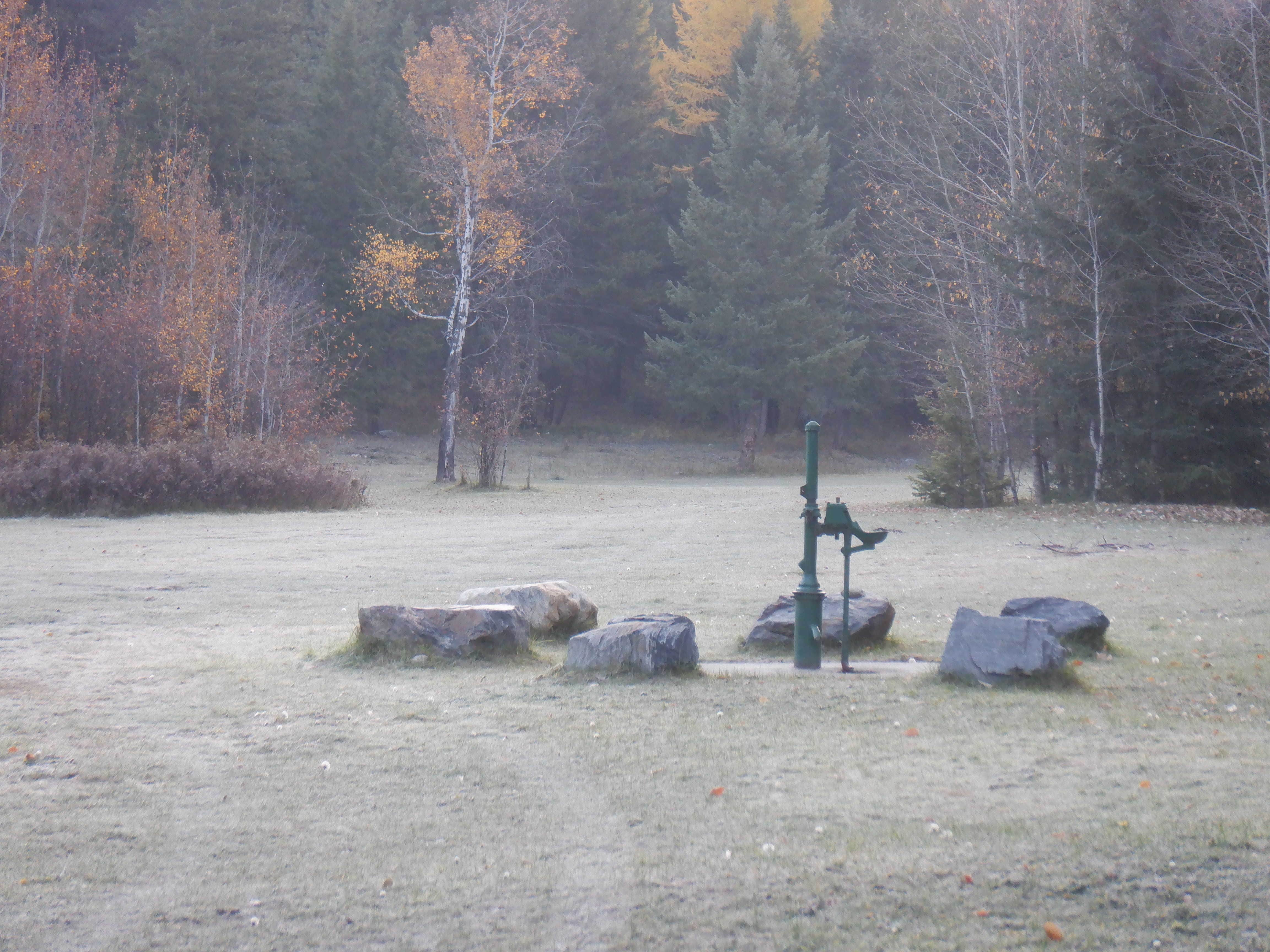 Camper-submitted photo at Kootenai National Forest Camp 32 near Rexford, MT