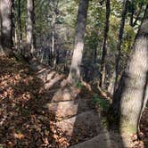 Review photo of Wildcat Mountain State Park Campground by Anthony L., October 20, 2021