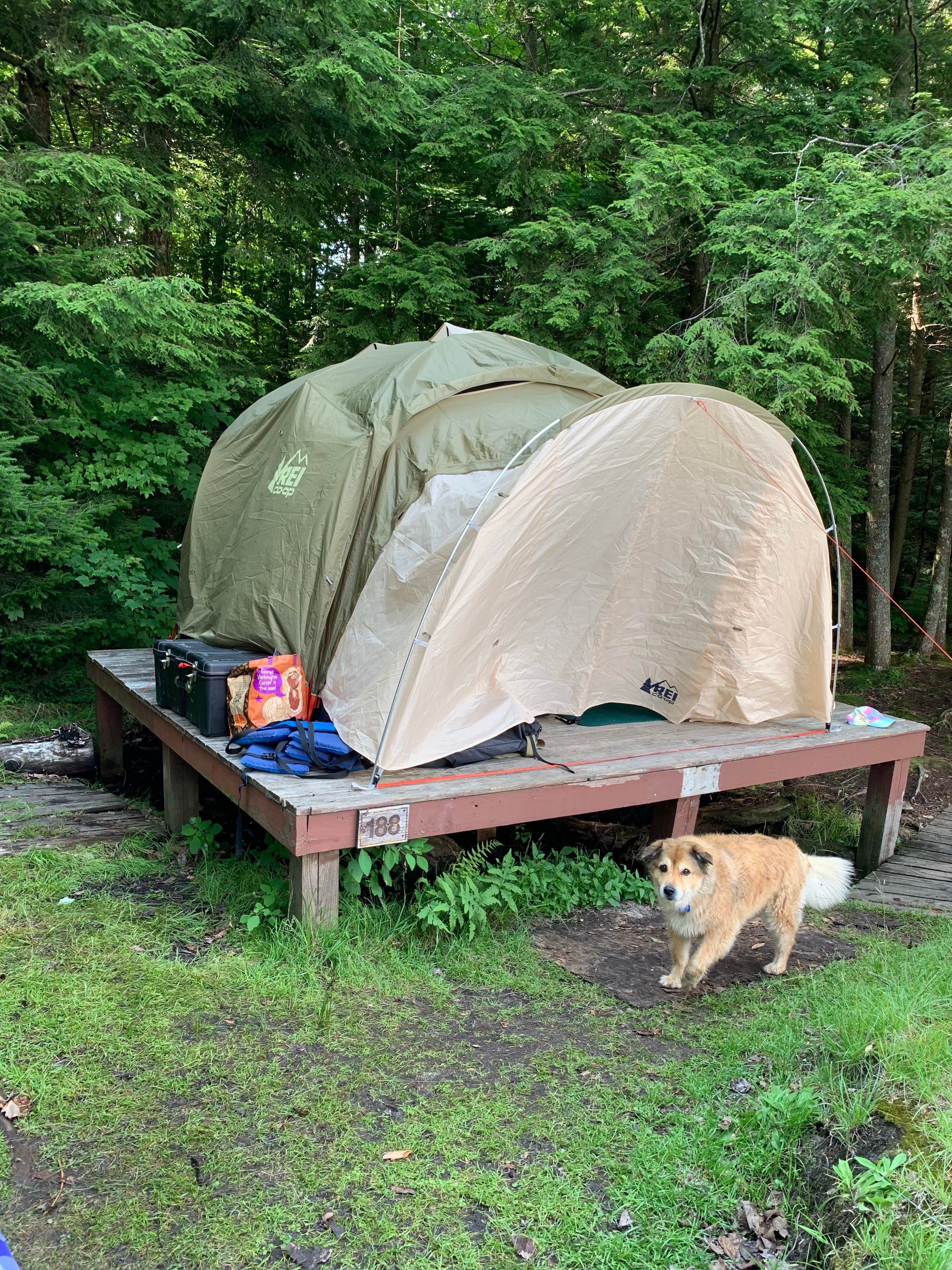 The Other Kim K.'s photo at Meacham Lake Campground near Malone, NY