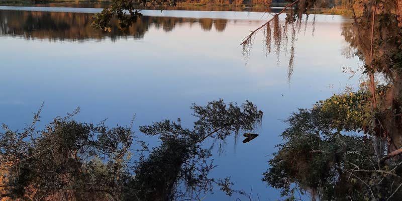 Camper submitted image from Roland Cooper State Park Campground