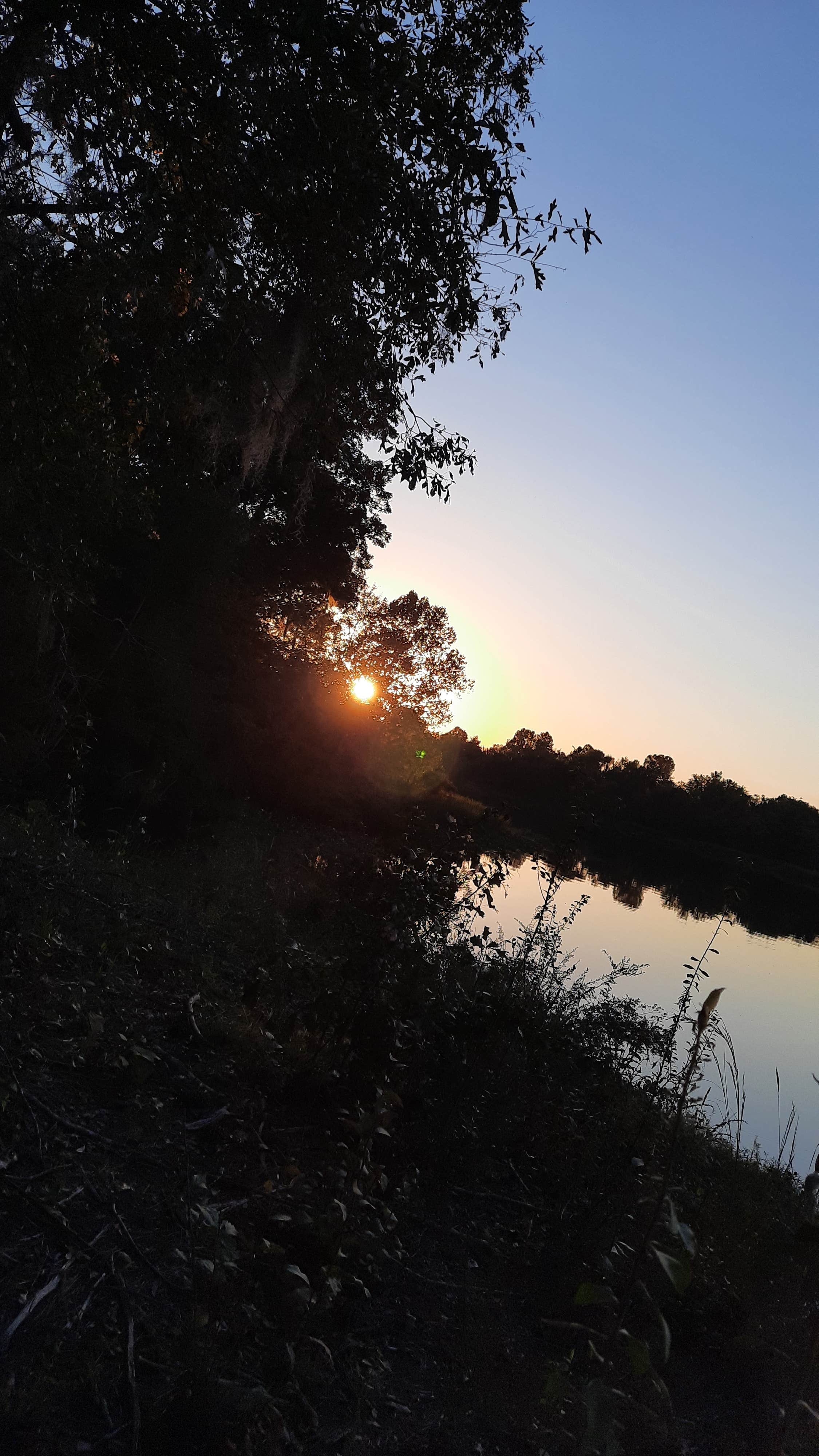 Camper-submitted photo at Roland Cooper State Park Campground near Marion Junction, AL