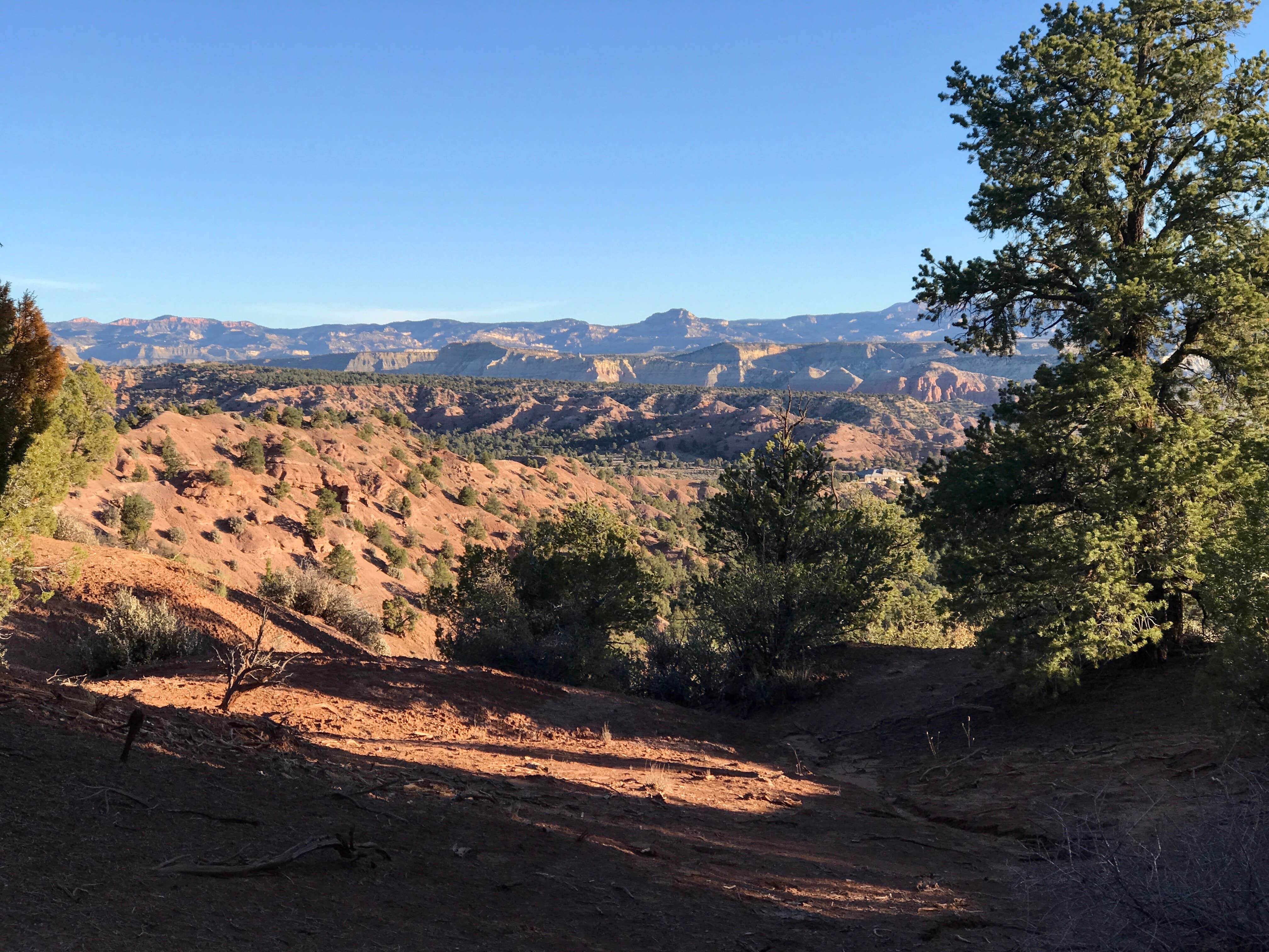 Camper-submitted photo at FS500 - Dispersed near Henrieville, UT