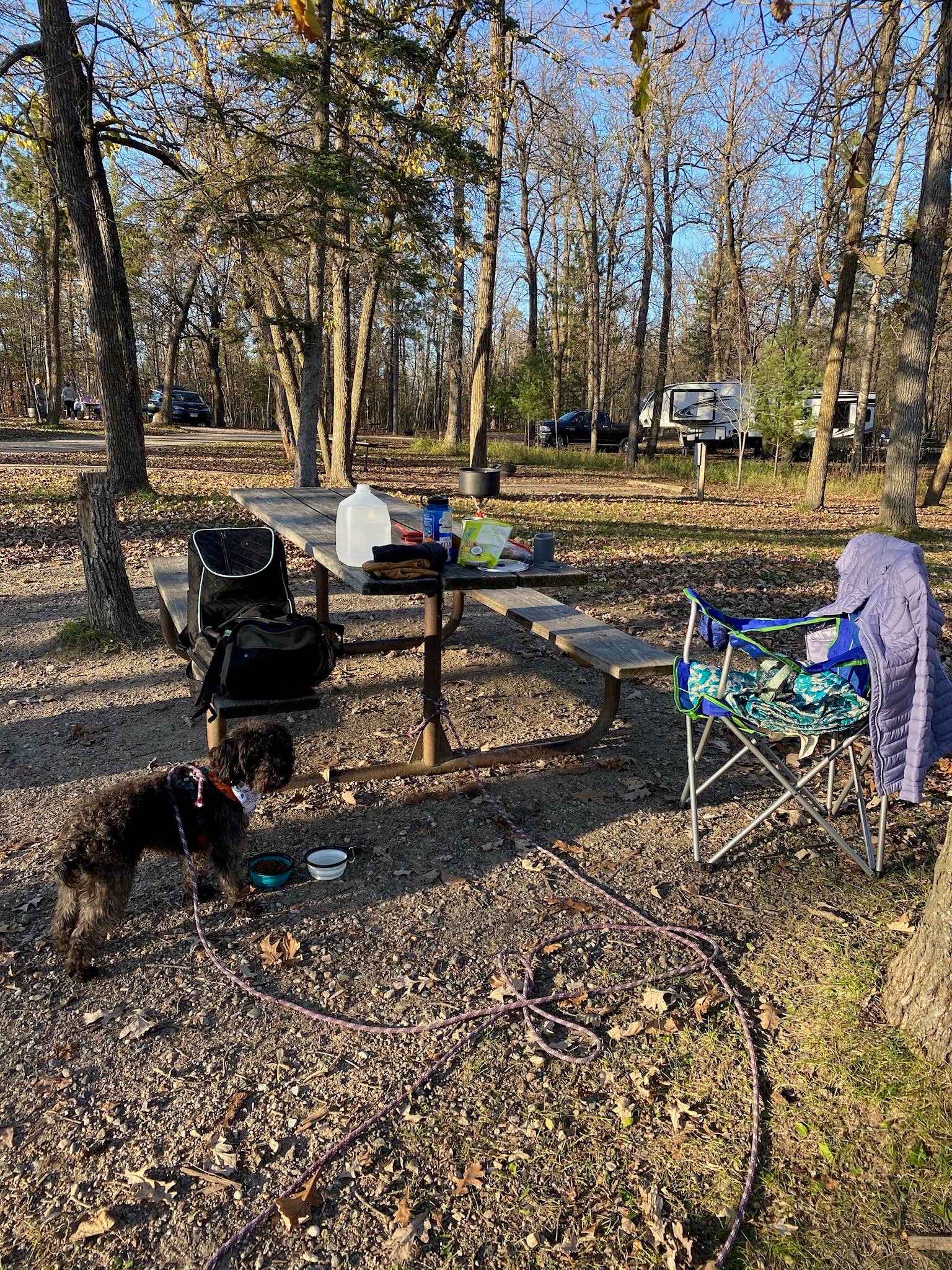 Mathea's photo of camping with pets at Bear Paw Campground — Itasca State Park near Midway, MN