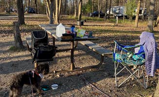 Mathea's photo of camping with pets at Bear Paw Campground — Itasca State Park near Midway, MN
