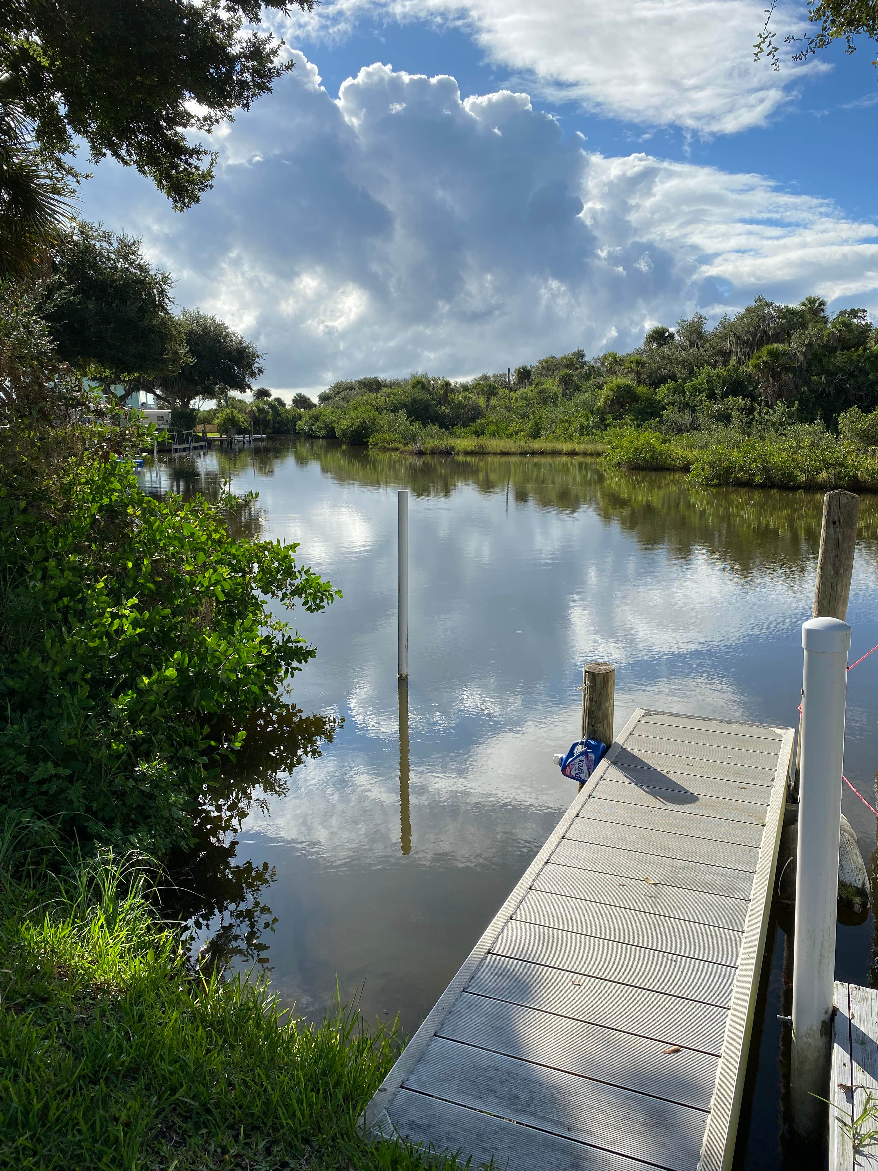 Camper submitted image from Bissette Bay — Canaveral National Seashore - 2