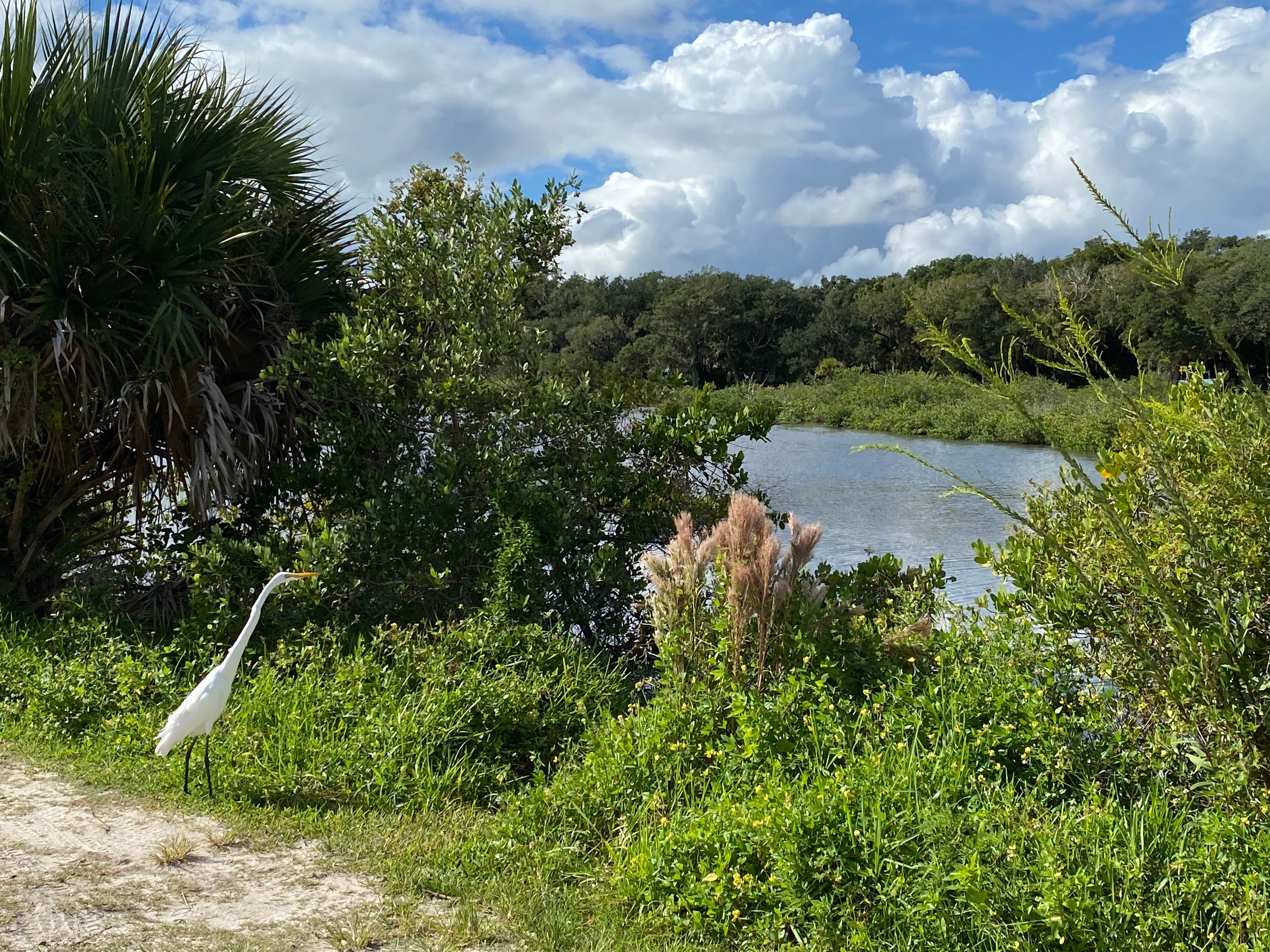 Camper-submitted photo at Bissette Bay — Canaveral National Seashore near Osteen, FL