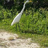 Review photo of Bissette Bay — Canaveral National Seashore by Stuart K., October 20, 2021