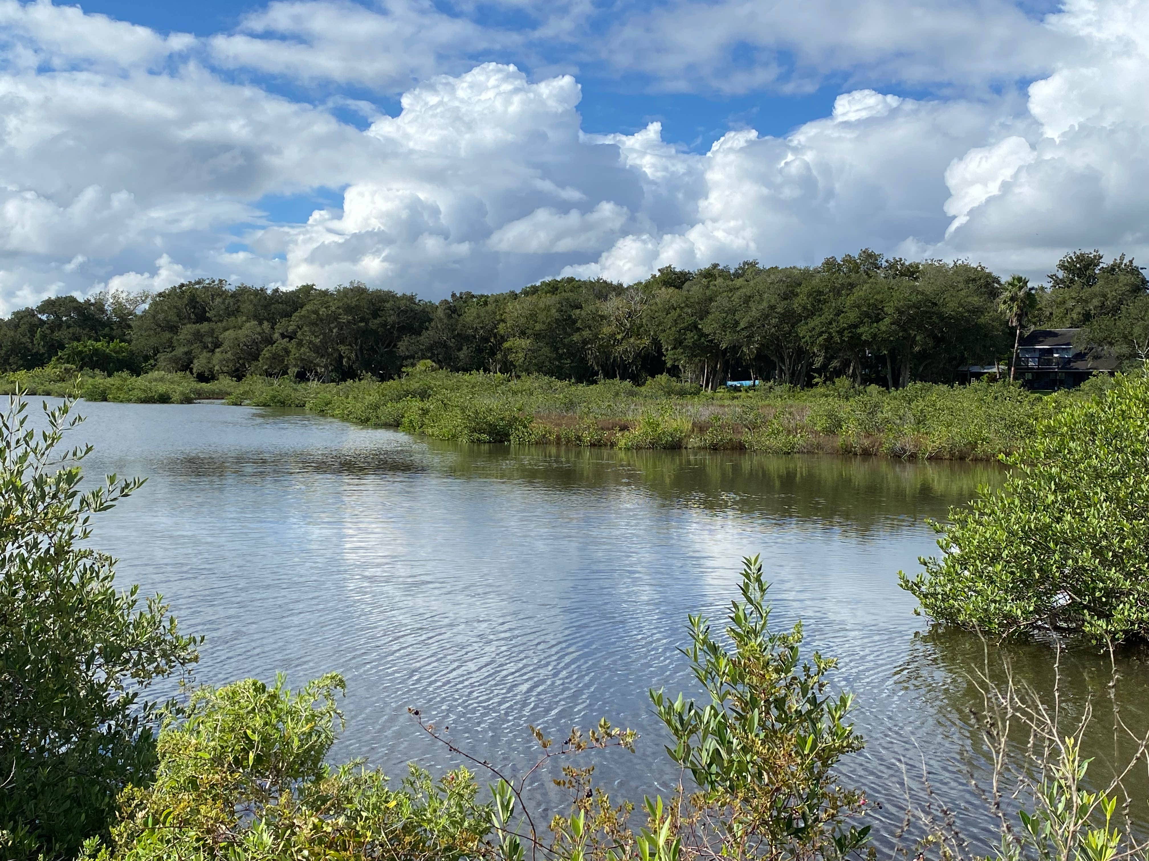 Camper submitted image from Bissette Bay — Canaveral National Seashore - 3