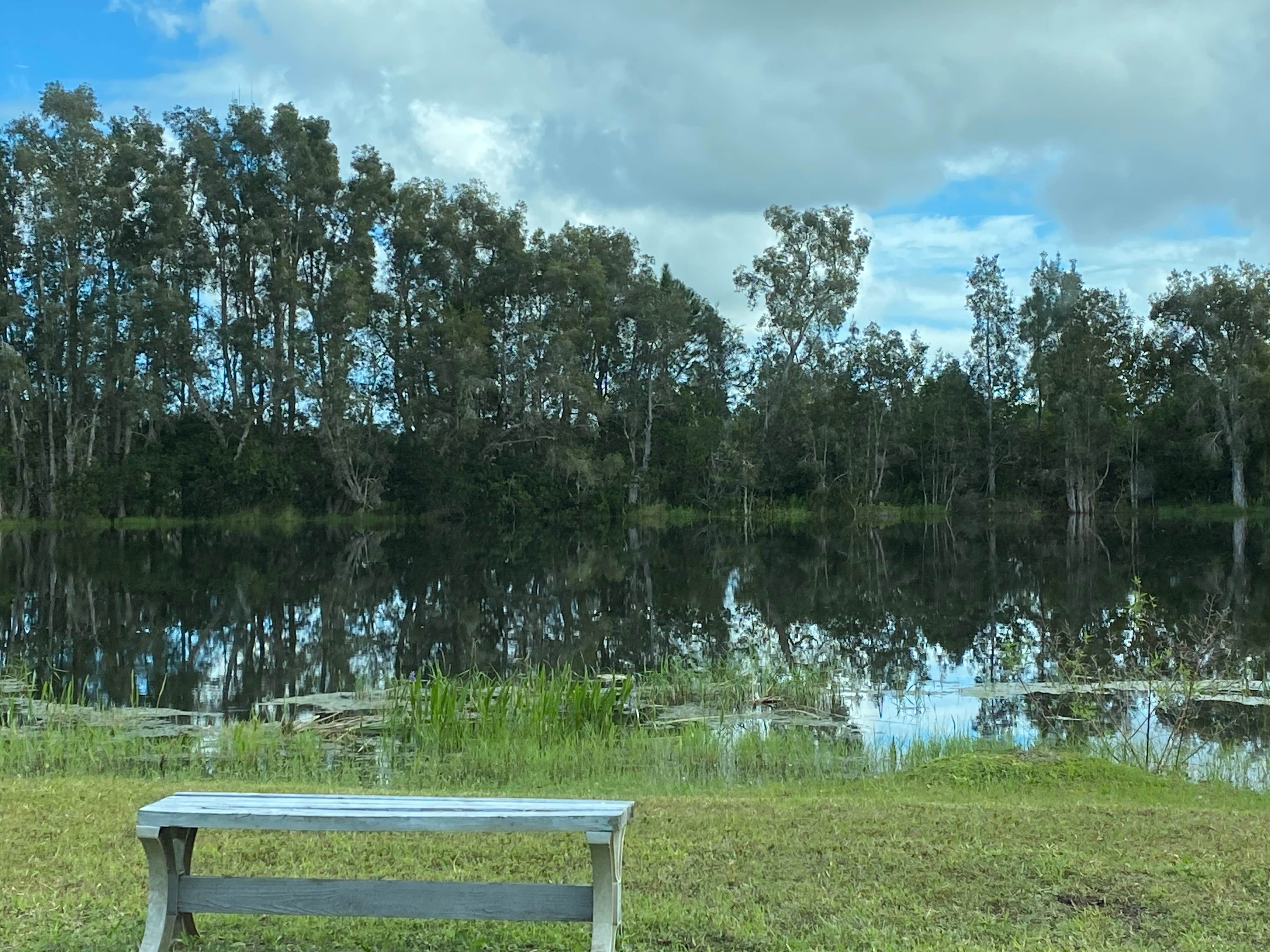 Camper submitted image from Bissette Bay — Canaveral National Seashore - 4