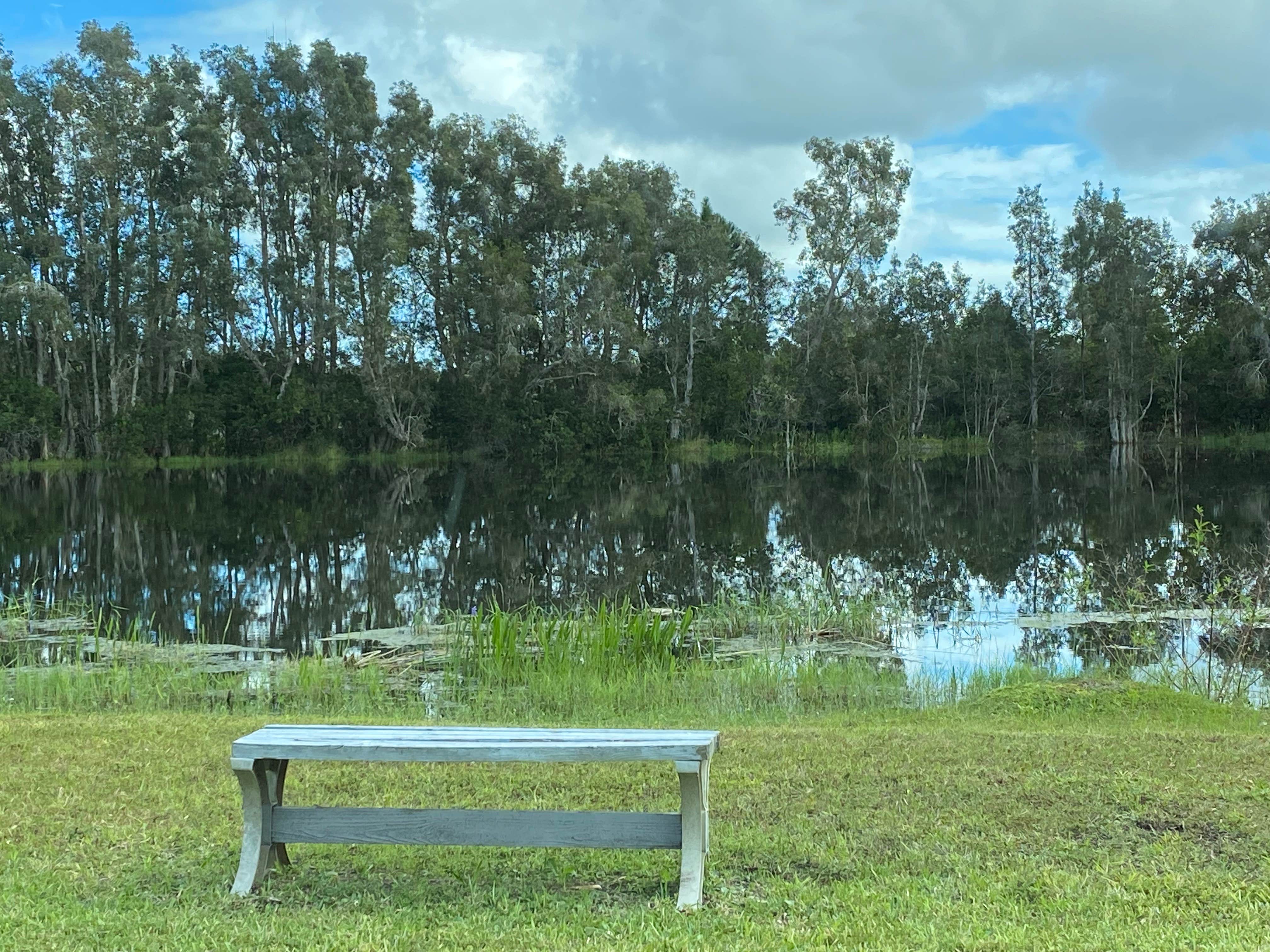 Camper submitted image from Bissette Bay — Canaveral National Seashore - 2