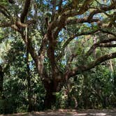 Review photo of Bissette Bay — Canaveral National Seashore by Stuart K., October 20, 2021