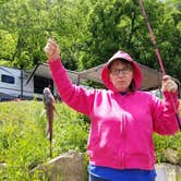 Review photo of Douglas Tailwater Campground — Tennessee Valley Authority (TVA) by Donna , October 20, 2021