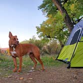 Review photo of Green River Campground — Dinosaur National Monument by Chip , October 20, 2021