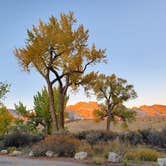 Review photo of Green River Campground — Dinosaur National Monument by Chip , October 20, 2021