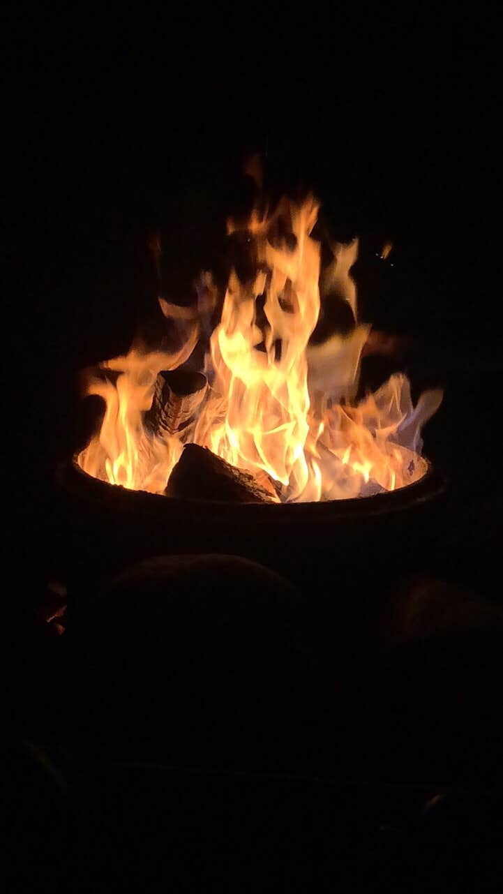 Camper submitted image from Mountain Vista Campground - 4