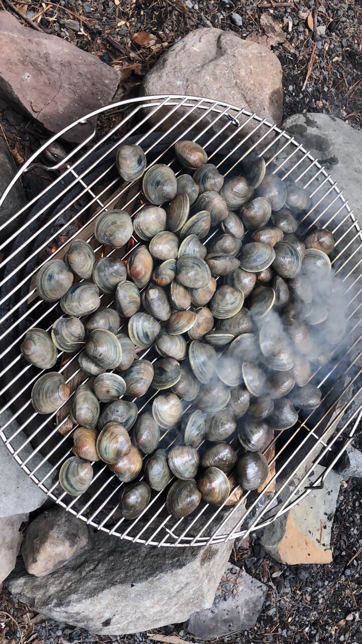 Camper-submitted photo at Mountain Vista Campground near Tobyhanna, PA