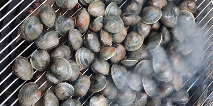 Camper submitted image from Mountain Vista Campground