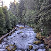 Review photo of Umpqua Hot Springs Trailhead by Meghan O., July 4, 2018