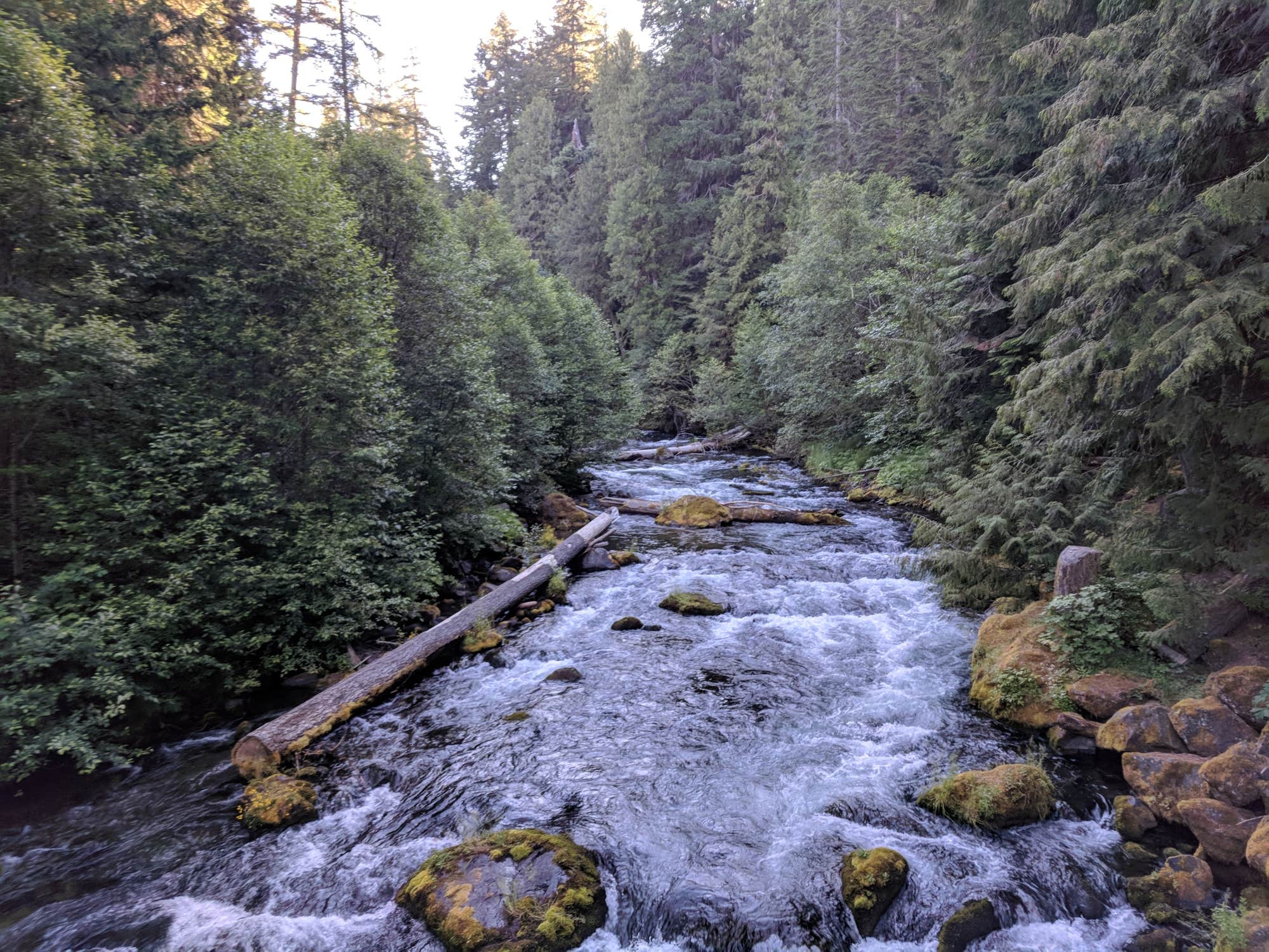 River near Umpqua Hot Springs, Oregon