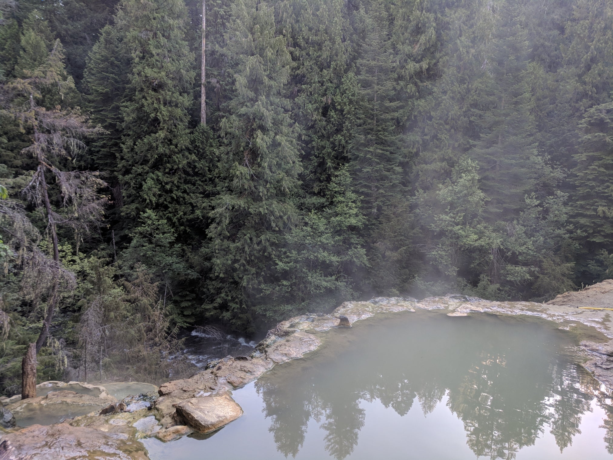 Camper submitted image from Umpqua Hot Springs Trailhead - 2