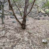 Review photo of Pedernales Falls State Park Campground by Robyn W., October 21, 2021