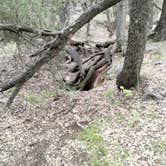 Review photo of Pedernales Falls State Park Campground by Robyn W., October 21, 2021