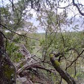 Review photo of Pedernales Falls State Park Campground by Robyn W., October 21, 2021