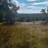 Review photo of Pedernales Falls State Park Campground by Robyn W., October 21, 2021