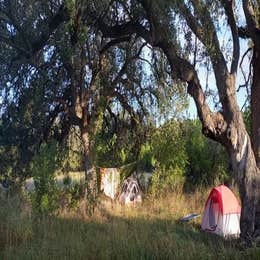 Walnut Springs Primitive Campground