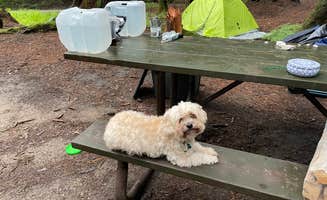 Debra D.'s photo at Kelly Pines Campground near Kersey, PA