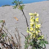 Review photo of Skamokawa Vista Park by Dee S., October 21, 2021