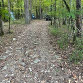 Review photo of COE Lake Ouachita Crystal Springs Campground by Candace R., October 19, 2021