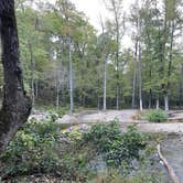 Review photo of COE Lake Ouachita Crystal Springs Campground by Candace R., October 19, 2021