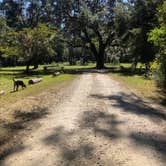 Review photo of Santee Coastal Reserve by courtney , October 18, 2021