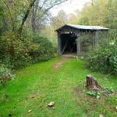 Review photo of AEP ReCreation Sawmill Road Campsite (D on paper map) at 10390 North Street Route 83 McConnelsville Ohio 43756 by Gem S., October 21, 2021