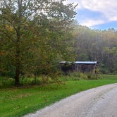 Review photo of Sawmill (Campground D) — Jesse Owens State Park by Gem S., October 21, 2021
