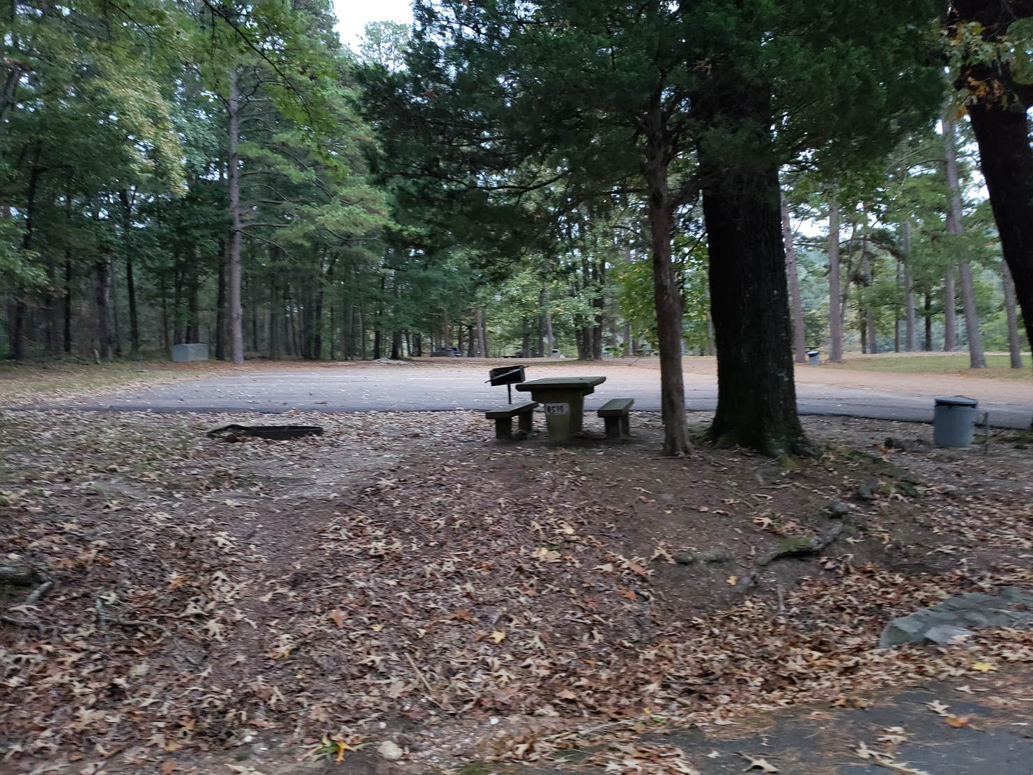 Bear Creek Camping The Dyrt